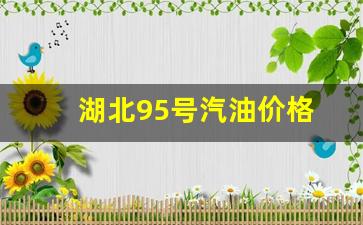 湖北95号汽油价格当日油价-湖北95号汽油价格